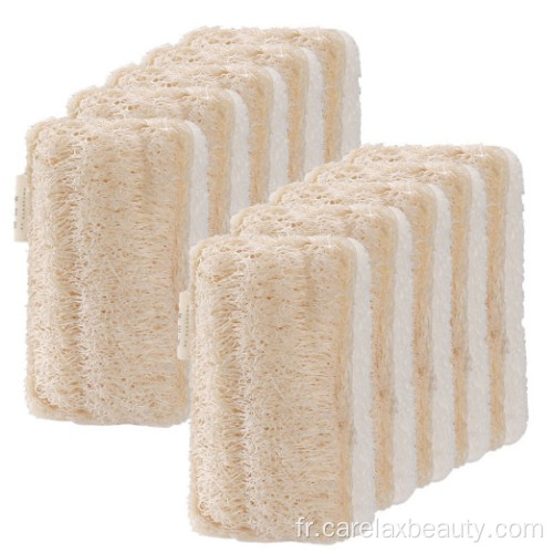 Sponge de cuisine cellulose et loofah éponge pour plat